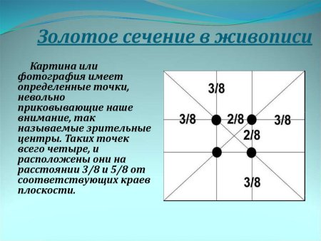 Золотое сечение