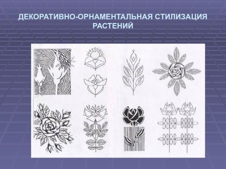Трансформация природных форм в орнаментальные мотивы