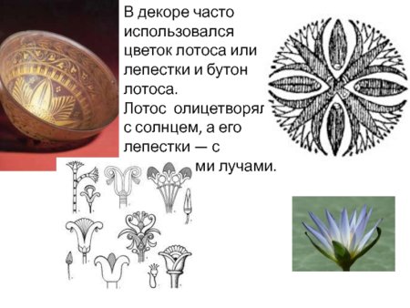 Орнамент древнего Египта цветок лотоса