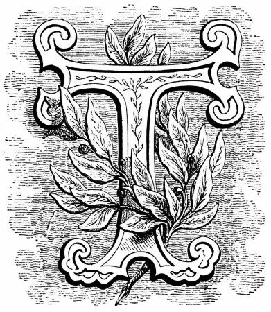 Книжная Графика буквица Инициал