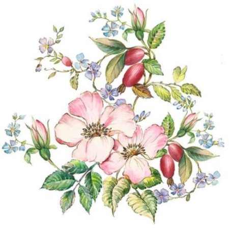 Венок из цветов шиповника