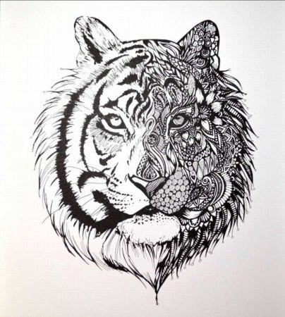 Орнамент тигр (50 фото)