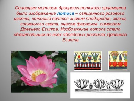 Древнеегипетский орнамент с лотосом