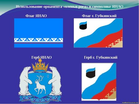 Ямало-Ненецкий автономный округ флаг