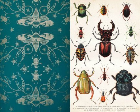 Орнамент из насекомых