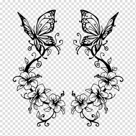 Красивые узоры бабочки