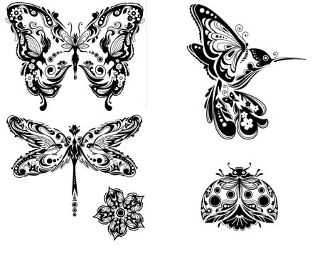 Орнамент бабочки (48 фото)