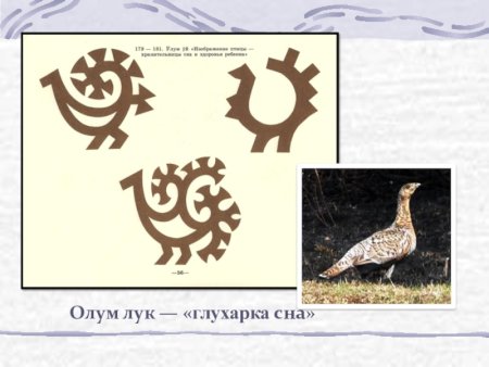 Орнамент Глухарка Ханты и манси