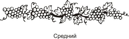 Виноградная лоза орнамент