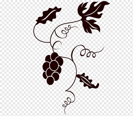 Виноградная лоза coreldraw