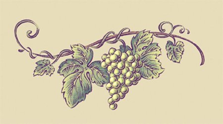 Виноградная лоза линогравюра