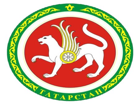 Туган Илем-Татарстан орнамент