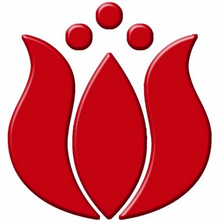 Татарский орнамент тюльпан