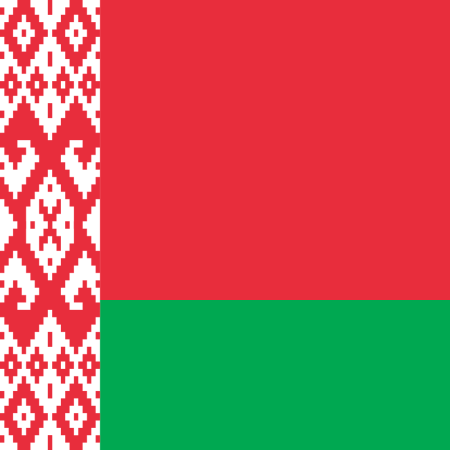 Флаг Белоруссии а4