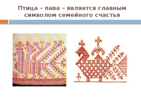 Птица Пава рисунок