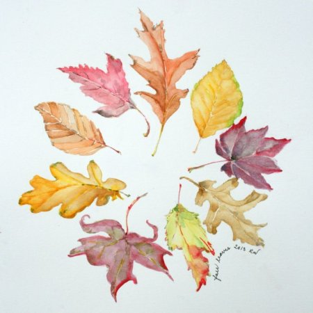 Орнамент композиция из листьев (47 фото)