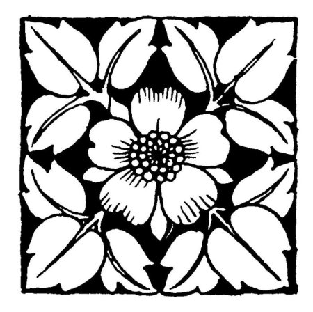 Центрический растительный орнамент