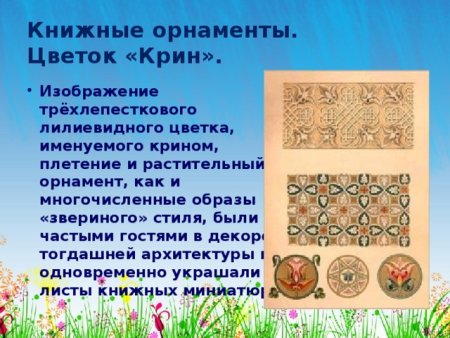 Цветок КРИН орнамент