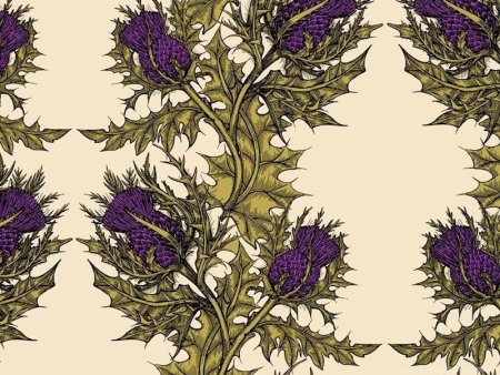 Пьюджин чертополох