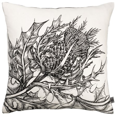 Обои Cole and son Botanica