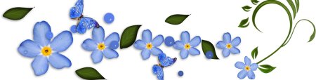 Цветы для презентации без фона