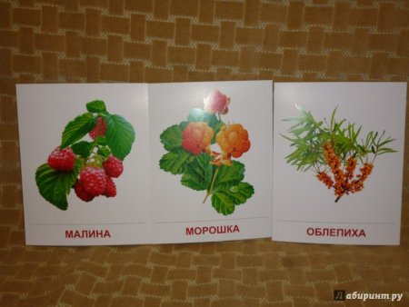 Морошка ягода и лист