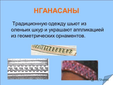 Нганасаны украшения