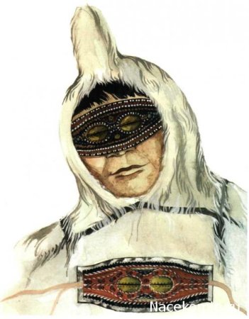 Совик нганасаны