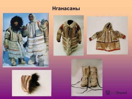 Народы Красноярского края нганасаны