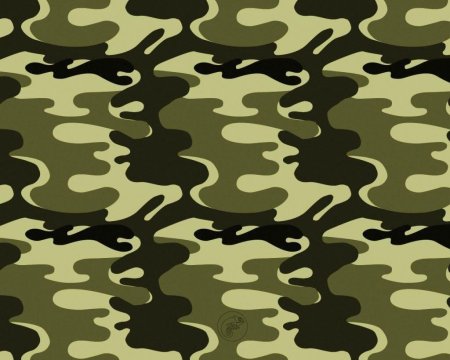 Цвет хаки цвет хаки камуфлированные