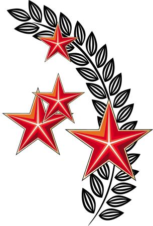 День защитника Отечества символика