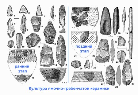 Археологическая культура ямочно гребенчатой керамики