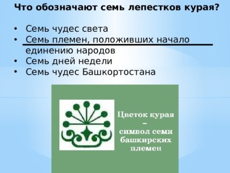 Символ Башкирии цветок курая