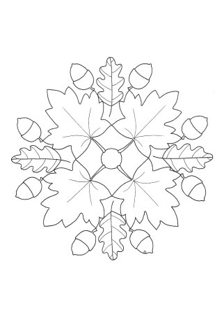 Осенний букет раскраска для детей