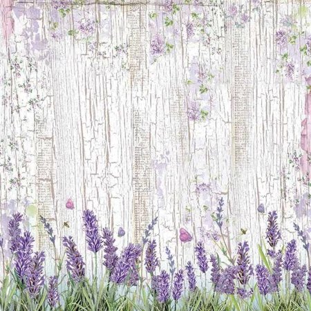 Stamperia Provence