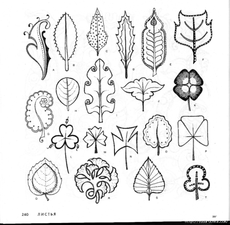 Орнамент из цветов и листьев рисунки (48 фото)