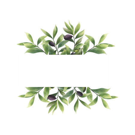 Листья оливы (Olive Leaf)