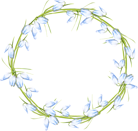 Подснежники вектор
