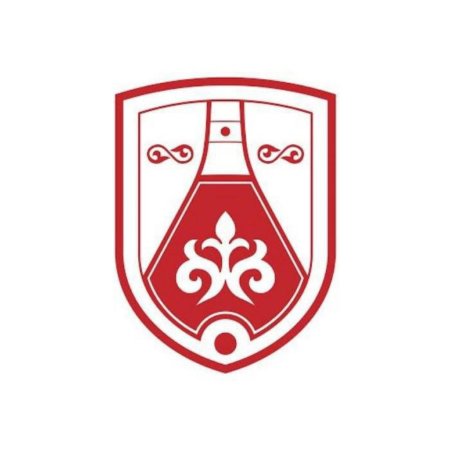 Dombyra logo PNG