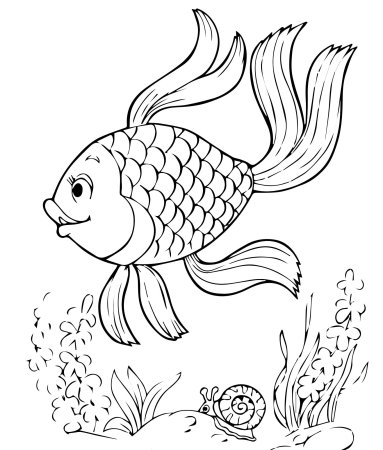 Трафарет золотая рыбка рисунок (45 фото)