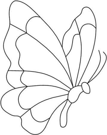 Трафарет бабочка рисунок (47 фото)