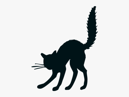 Кот выгнул спину