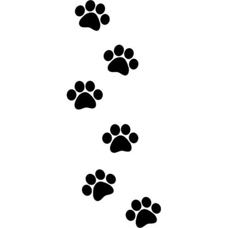 Кошачьи следы