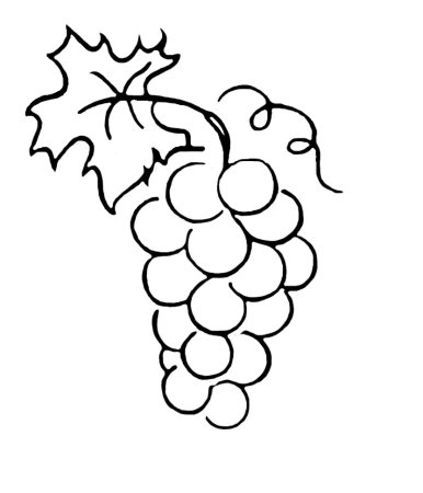 Трафарет гроздь винограда рисунок (45 фото)