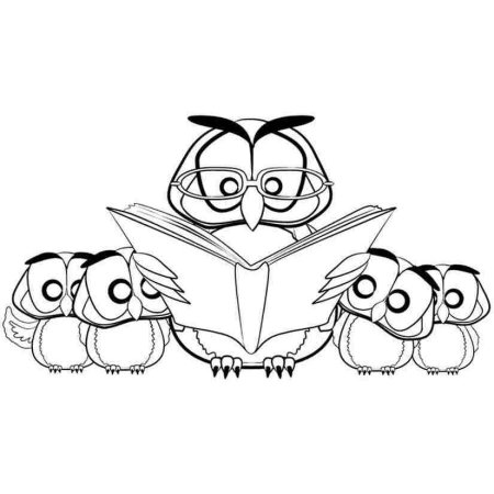 Сова с книгой раскраска