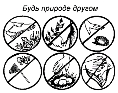 Берегите природу раскраска