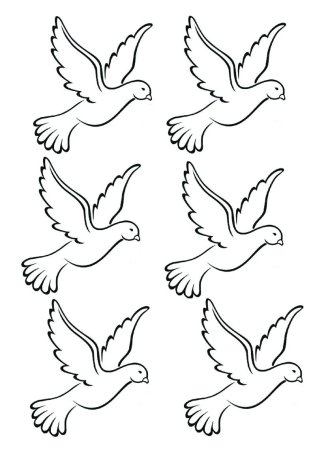Голубь контур