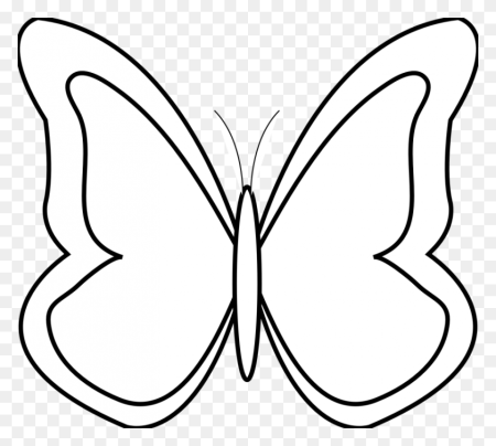 Трафарет бабочки рисунок черно белый (47 фото)