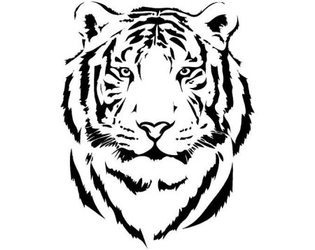Трафарет тигр черно белый рисунок (49 фото)