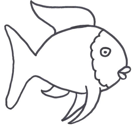 Морские рыбки раскраска для детей